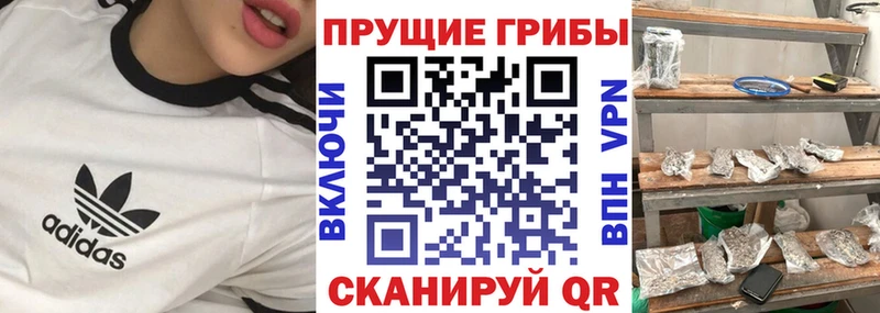 OMG как войти  хочу   это состав  Галлюциногенные грибы ЛСД  Старица 