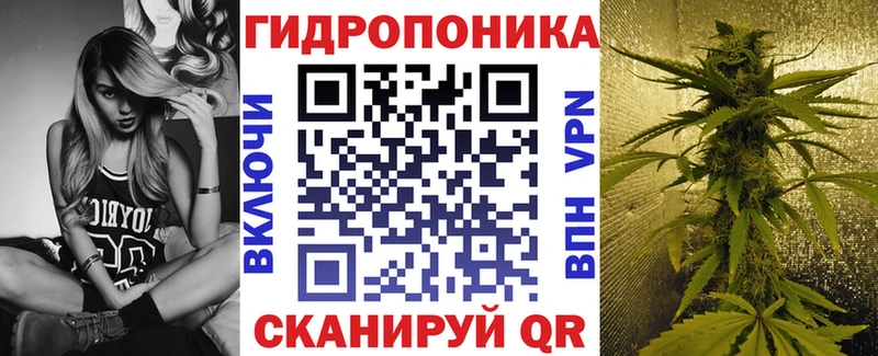 мориарти официальный сайт  Старица  Бошки марихуана OG Kush 